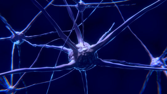 Vagus Nerve Stimulation Gets FDA Approval to Treat Rheumatoid Arthritis