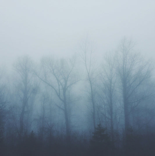 Welcome to Beyond the Fog